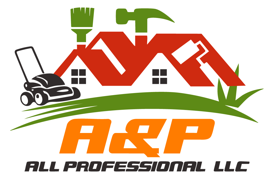 A&P ALL PROFESSIONAL LLC